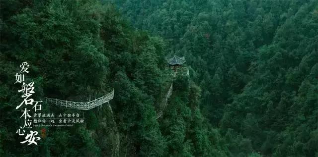 虫虫助手下载
