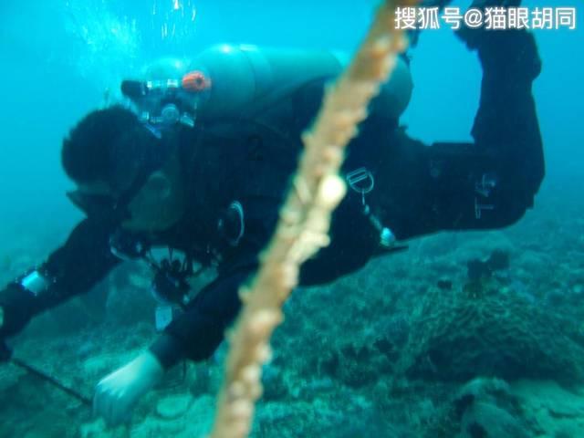 网上买菜怎么买更划算?-专业的58问答交流平台
