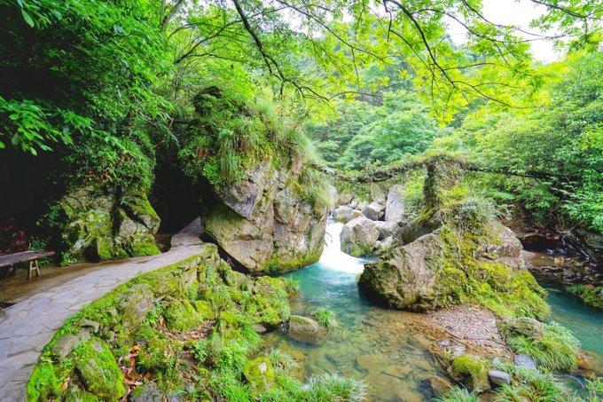 荒野大镖客2