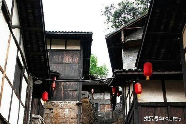 科技网:科技特派员点亮乡村振兴“科技之光”